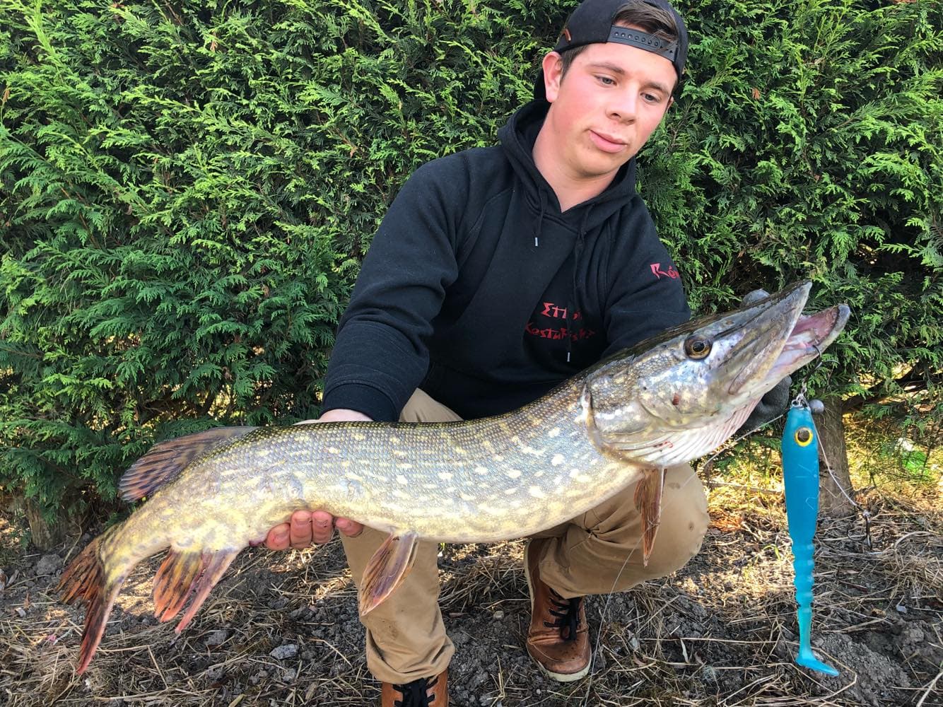 Ch'ti shad 21cm